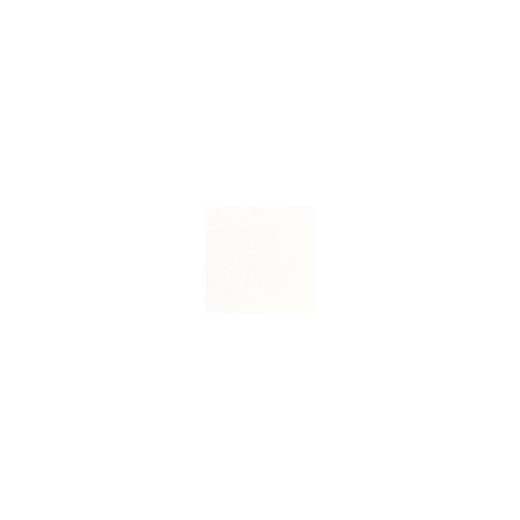 Dunisoft Bio Napkin 40cm White (x360)