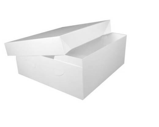 Gateau Box 2 Piece 10x10x6"  (50)
