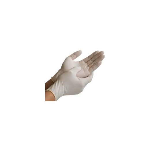 Latex Glove Powder Free Large (x100)