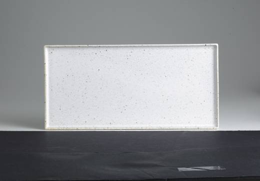 Lichen Rectangular Tray 28.6x14cm  (x6)