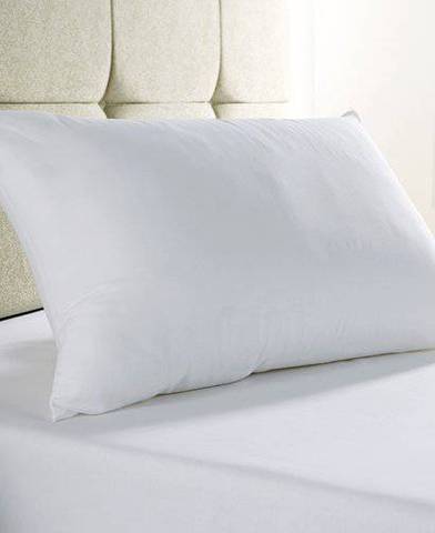 Highgrove Pillow 50x90cm
