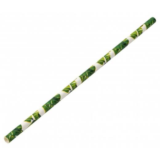 Paper Tropical Straw 8in/20cm Box of 250 (x24)