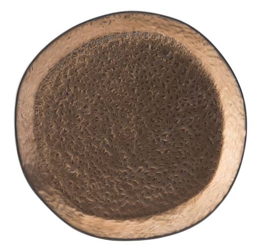 Midas Plate 26cm (x6)