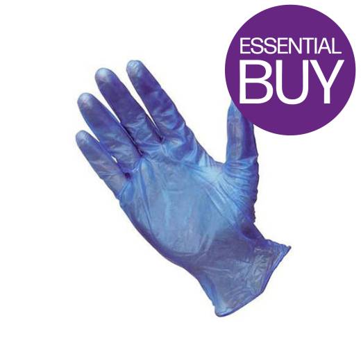 Vinyl Glove Blue Powder Free Large (x100)