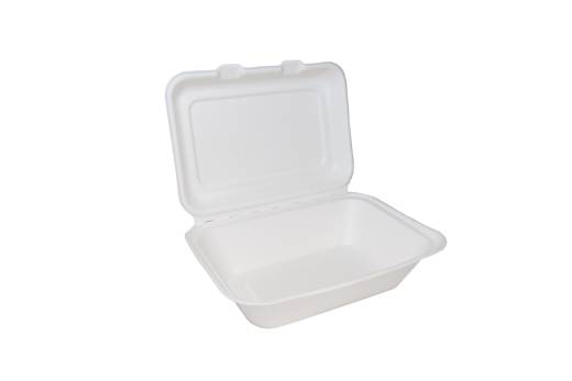 Edenware Bagasse Clamshell Regular 7x5in (x500)