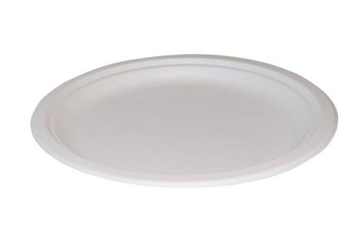 Edenware 10in Bagasse Plate (x500)
