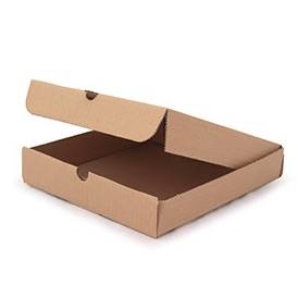 Pizza Box 10in Plain Brown (x100)