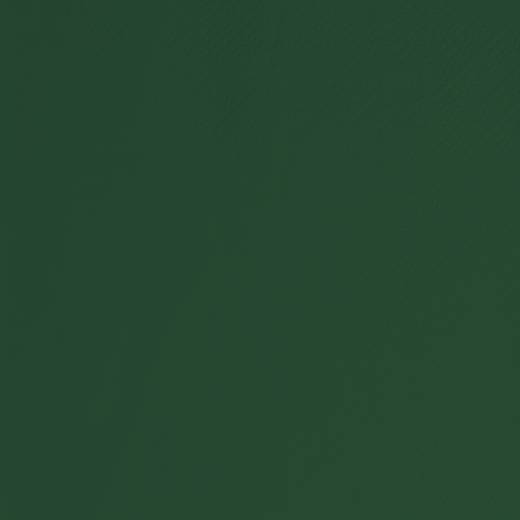 Tablin Airlaid Tablecover 120cm Forest Green (x50)